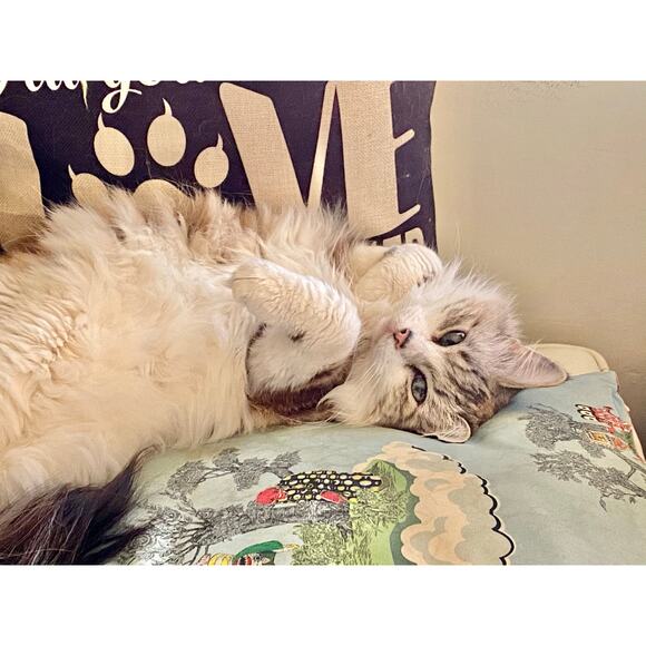 Vintage 1960s Quilted Hostess Gown Pink Sash Lounge Robe Psychedelic Print - Picture 16 of 16